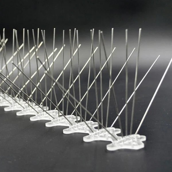 Bird Spikes in Kochi